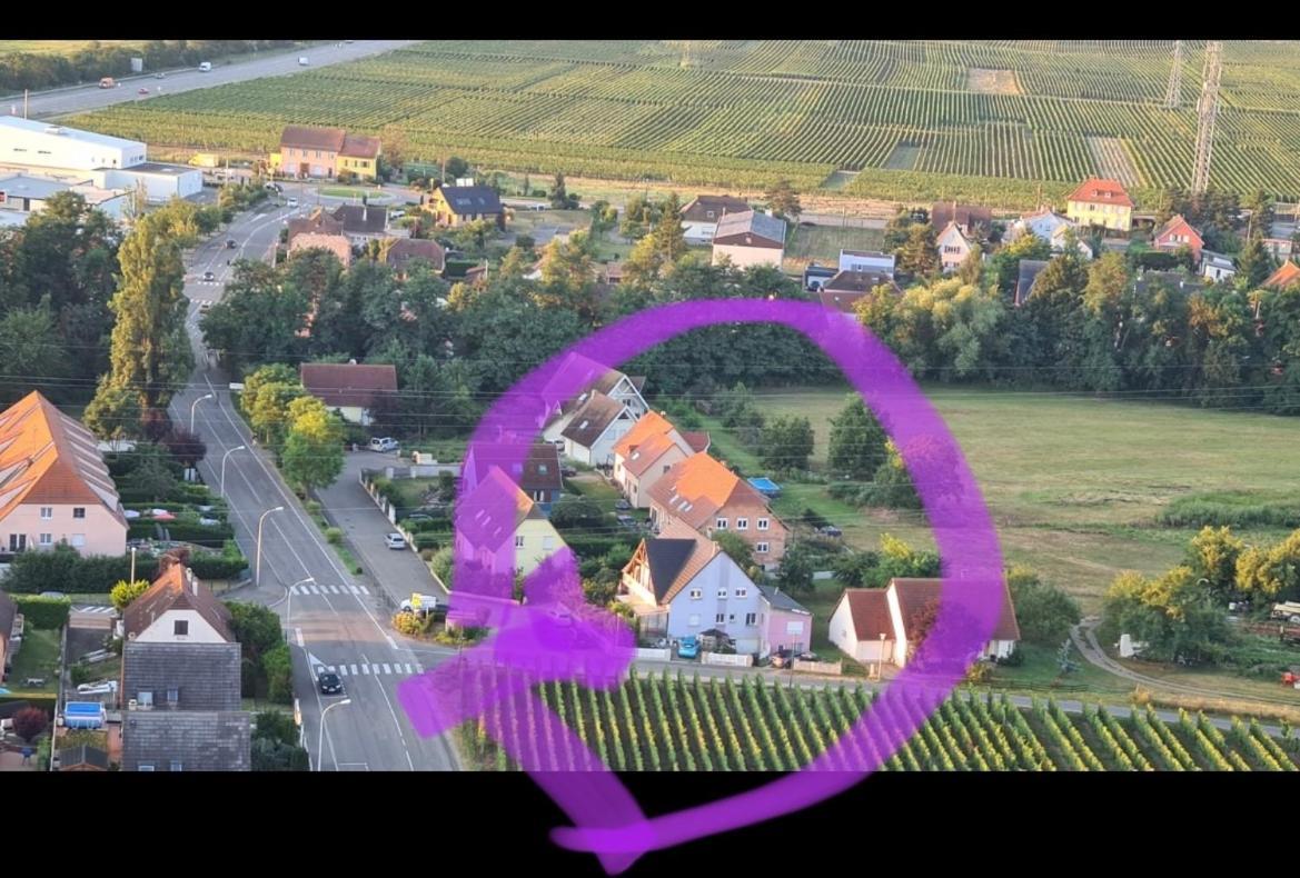 Au Petit Logelbach Lägenhet Wintzenheim Exteriör bild