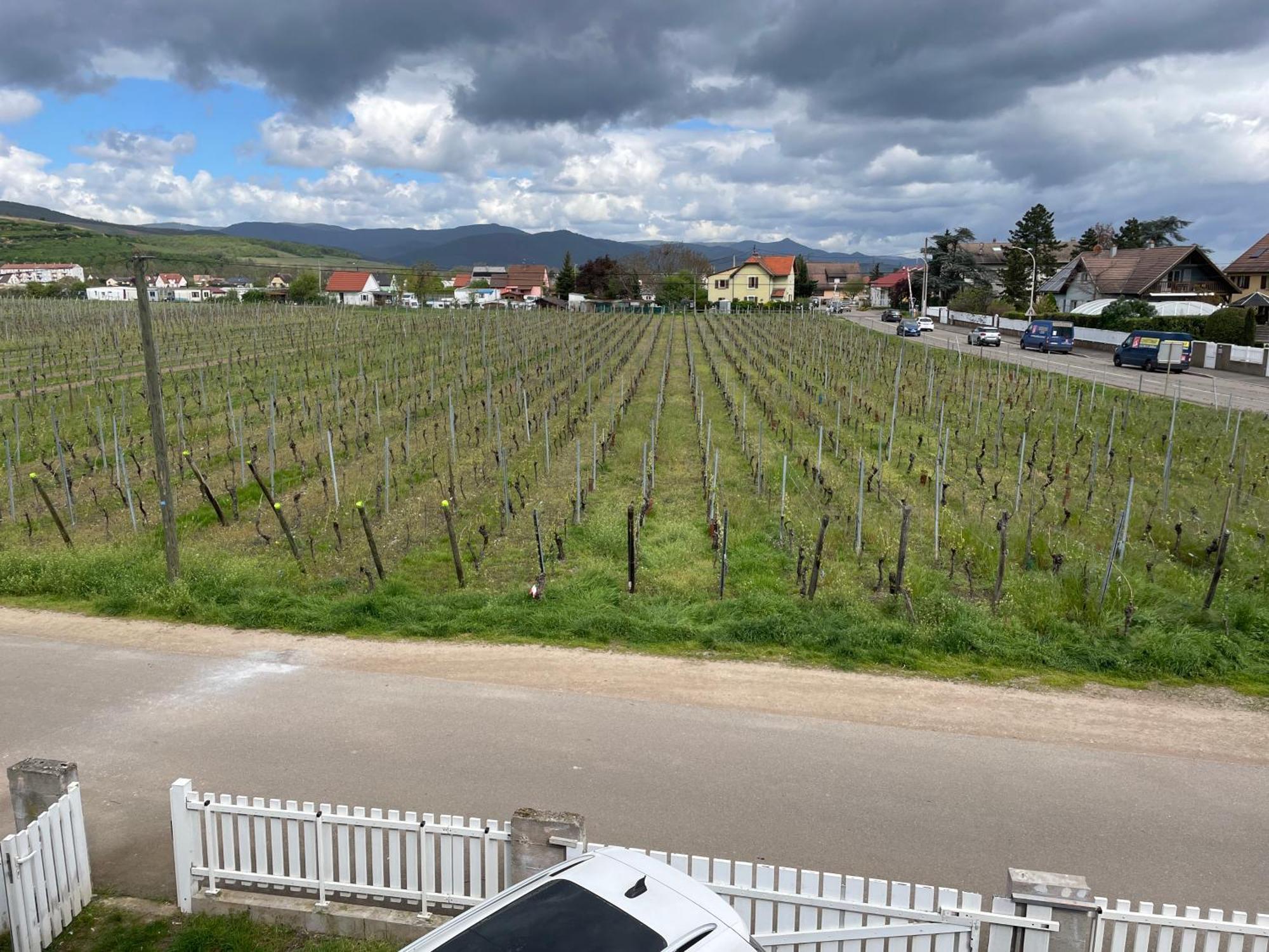 Au Petit Logelbach Lägenhet Wintzenheim Exteriör bild